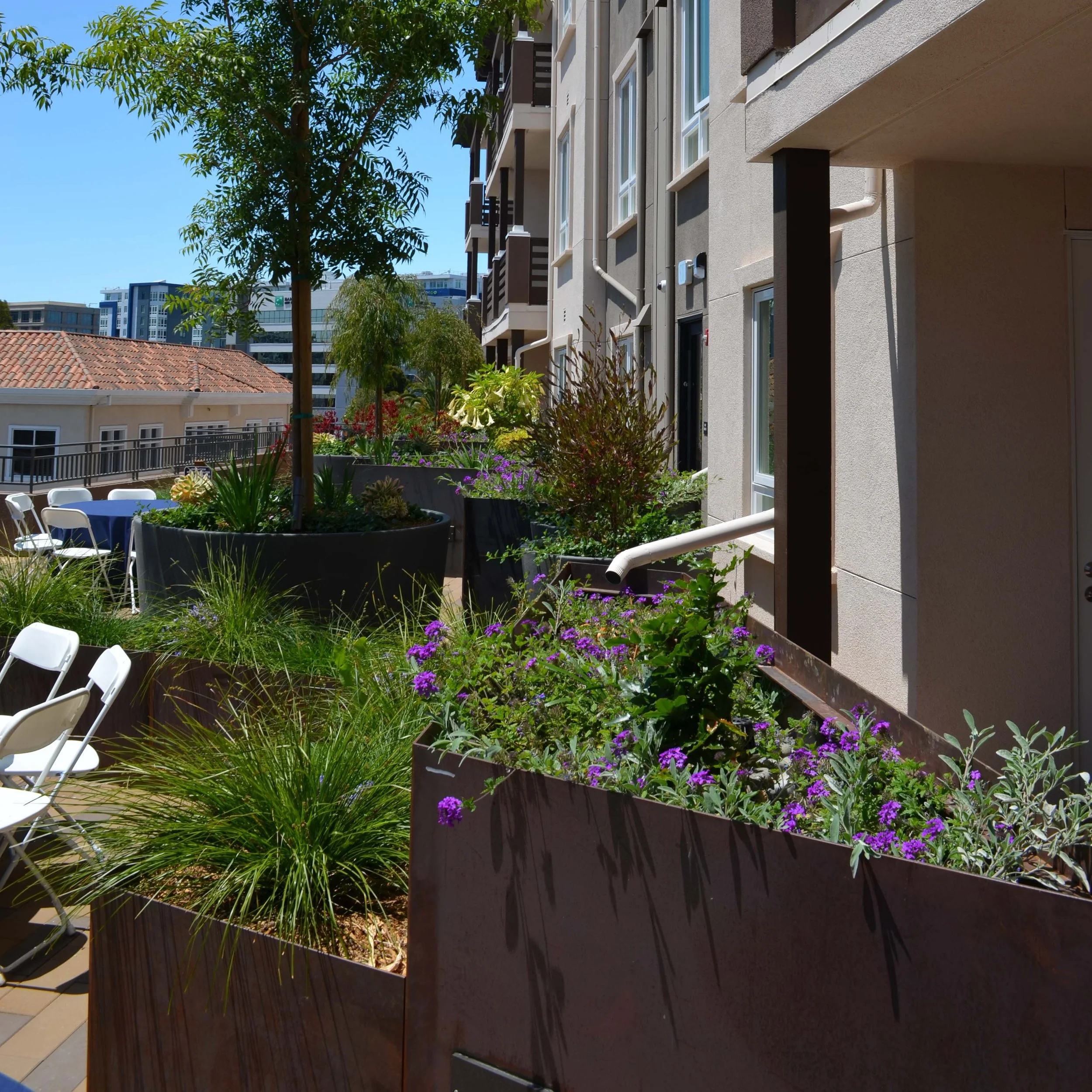 Bioretention Planters (Copy)