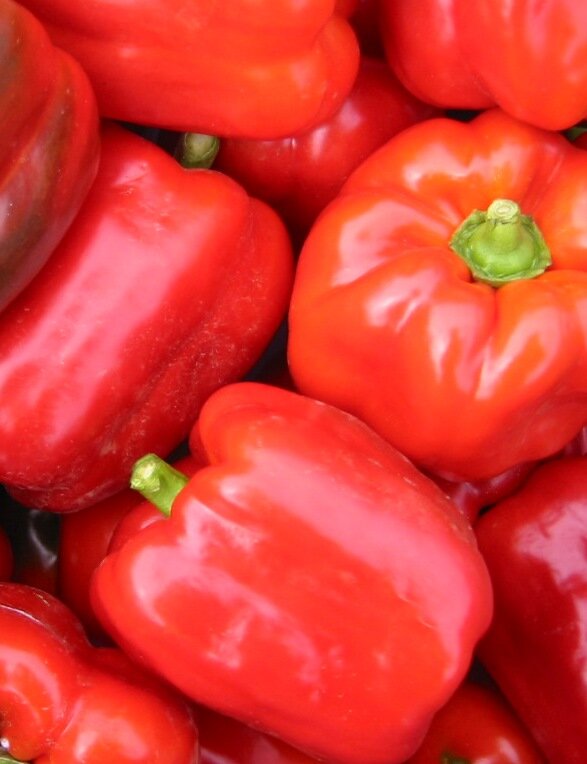 Red Bell Pepper - 1 Single - Walnut Creek Farm