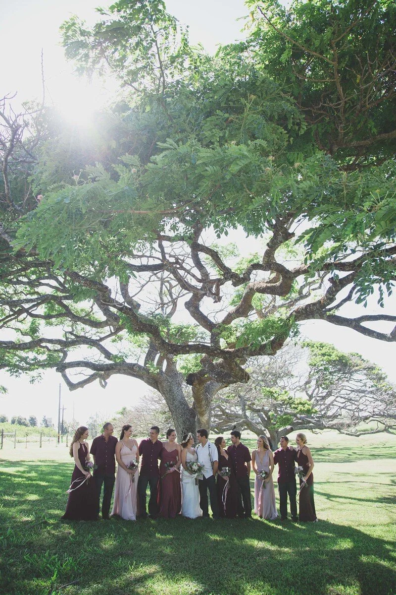 maui_Hui_No’eau_Visual_Arts_Center_3.jpg