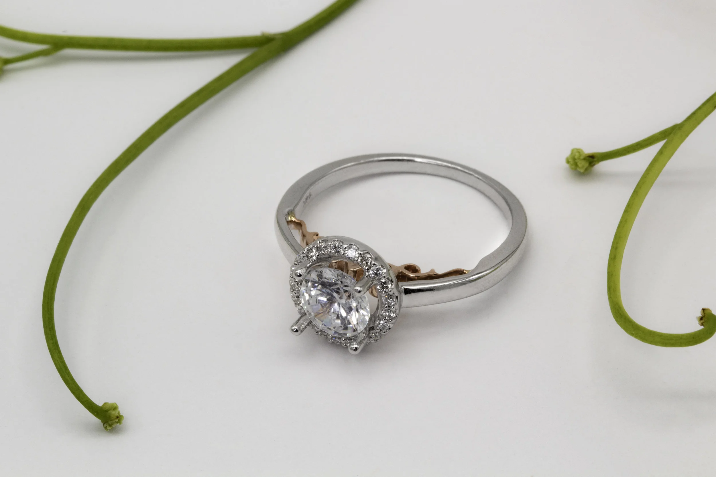 What to Expect After Your Engagement