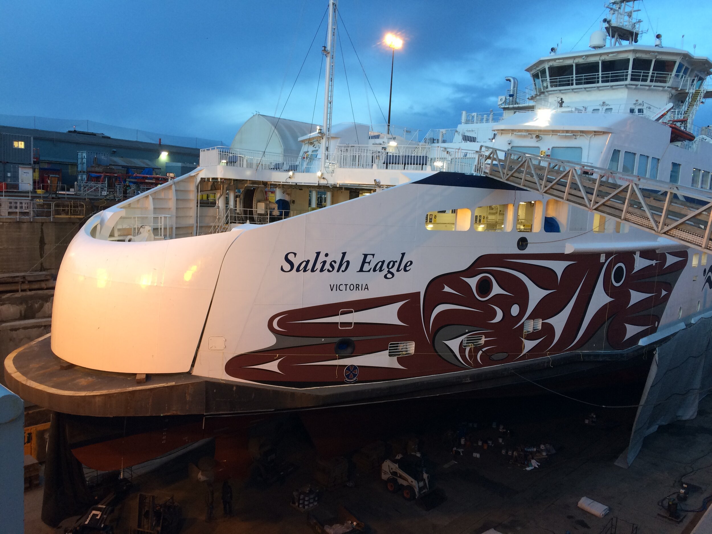 Salish Eagle