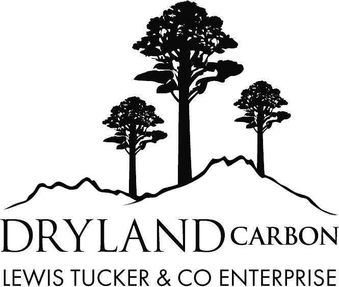 Drylandcarbon