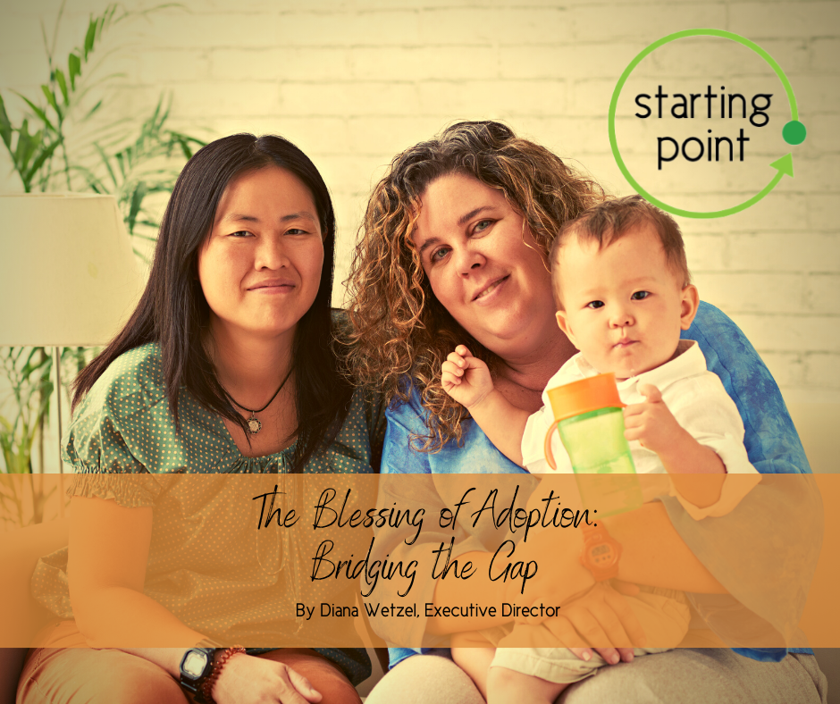 The Blessing of Adoption: Bridging the Gap