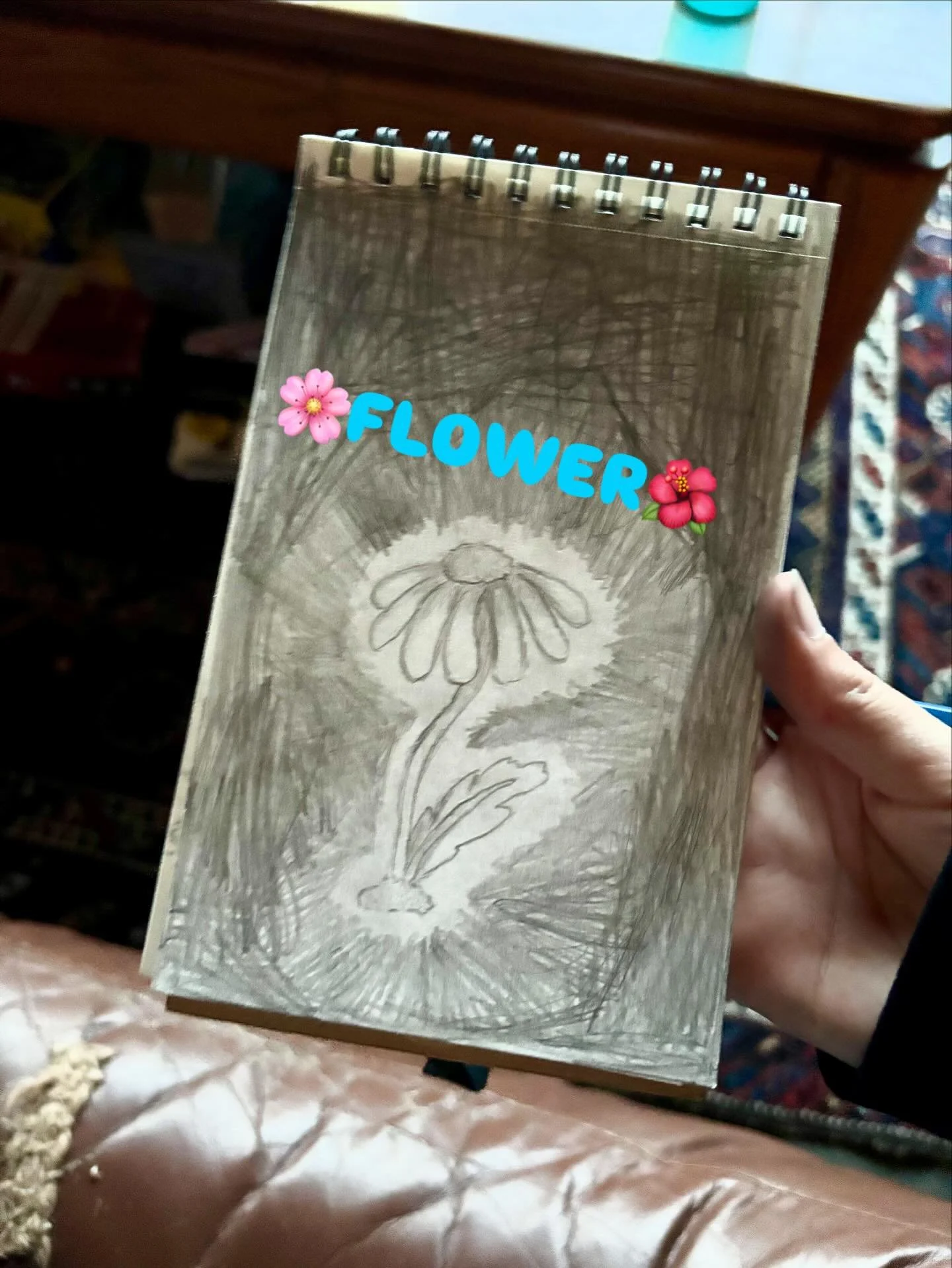 Just doodling after school. Drawing then shading, well first a sketch, then I pressed harder so you could see the outlines. Then I scribbled a background but left the edges of the flower white so that you could see it!