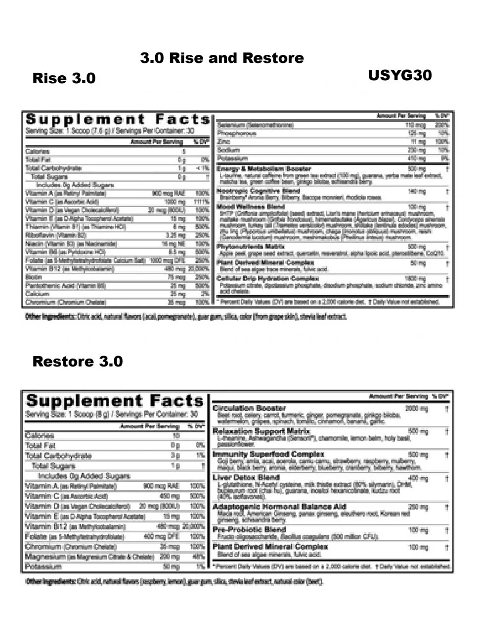 3.0 Rise and Restore.jpg