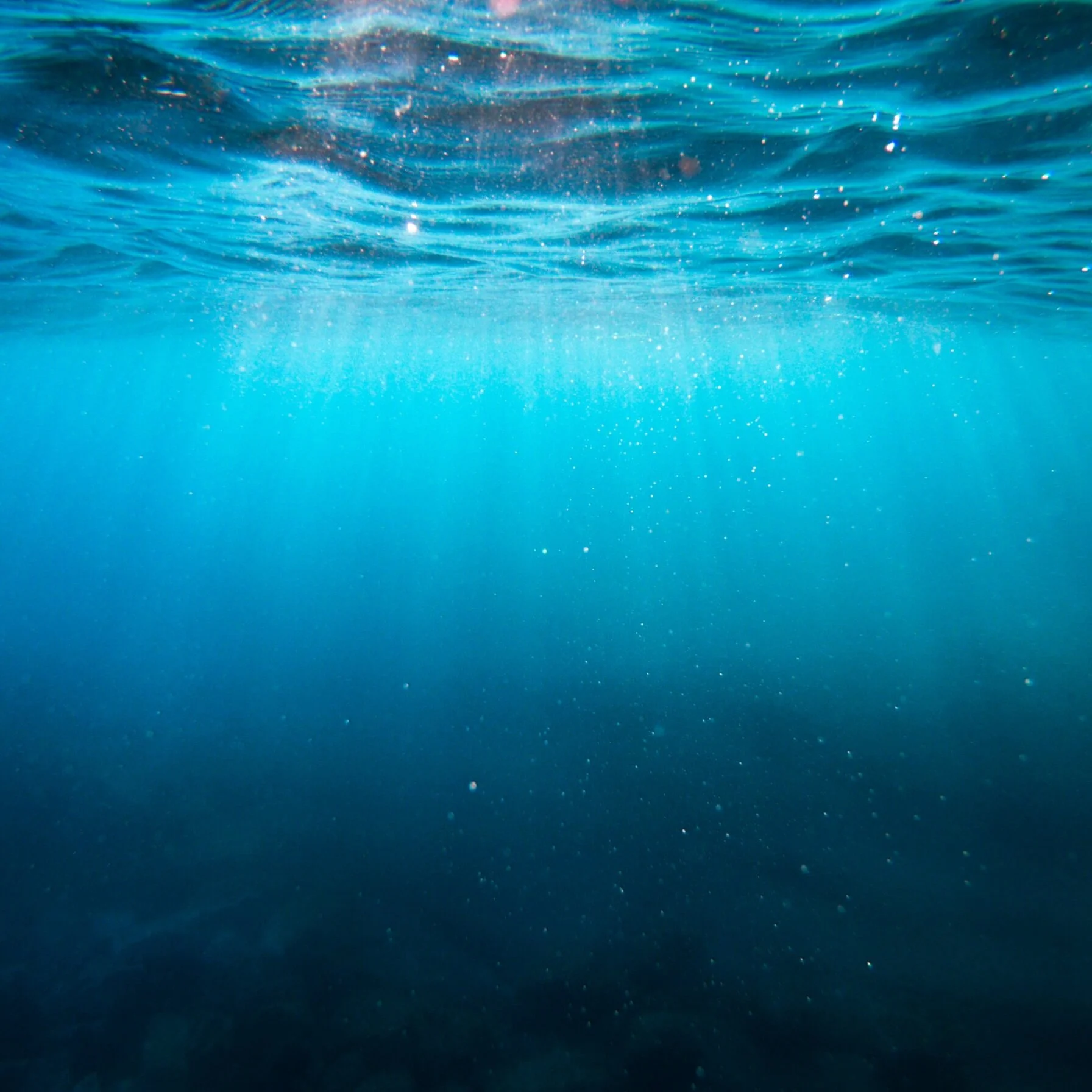 New Hope Bible Way Church