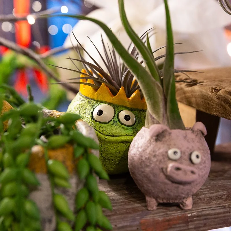 If you&rsquo;re looking for a cozy place to shop this season, Main Street Market is worth a stop. This walk-through indoor market on Main Street features a mix of locally owned shops offering handmade, thoughtful, and wellness-focused gifts. It&rsquo