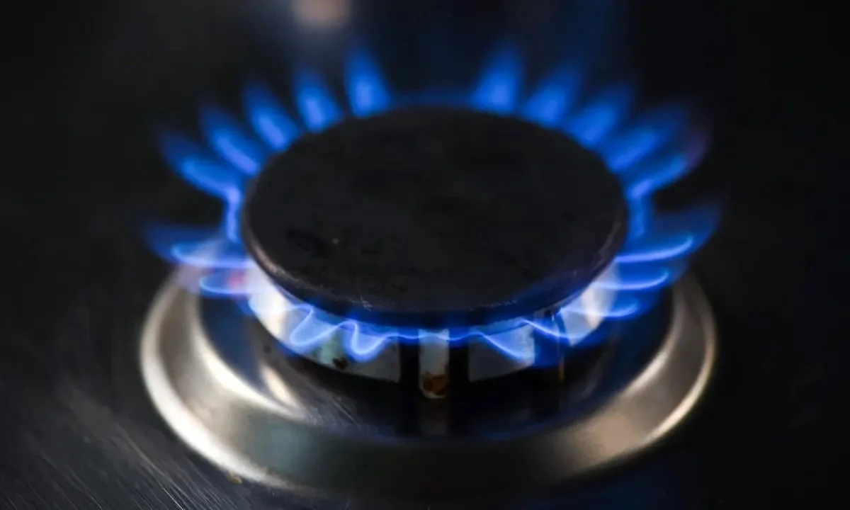 Gas Burner.jpeg