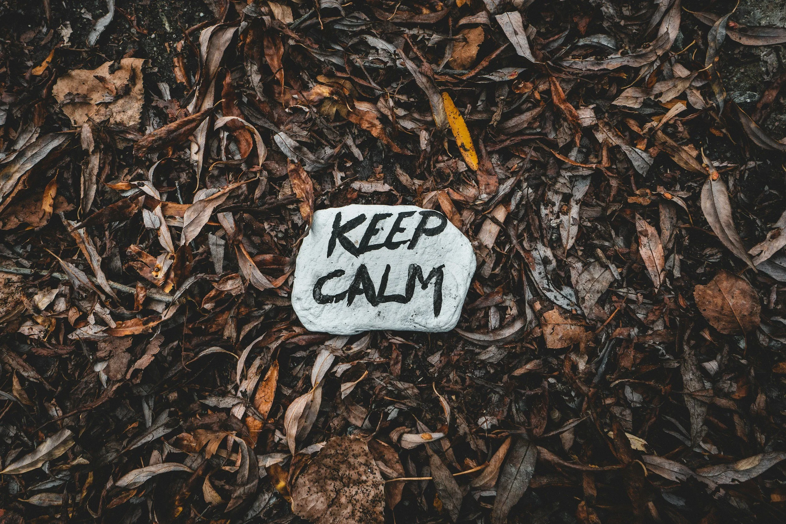 What is CBT & How It Helps Women Build Insight, Confidence & Coping Strategies