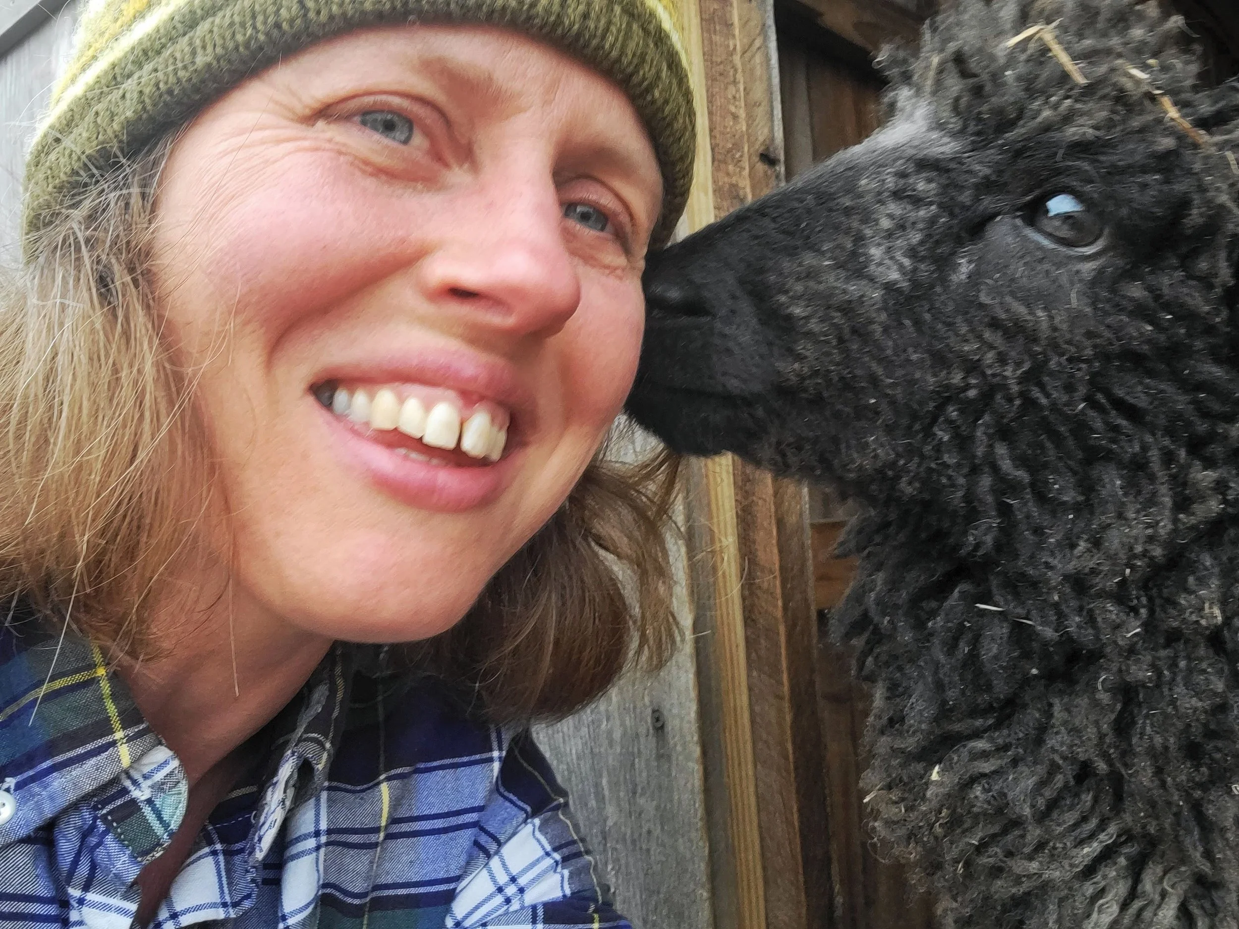 Everything You Want To Know About Farm Lifestyle, Shepherding, And The Best Advice Ever