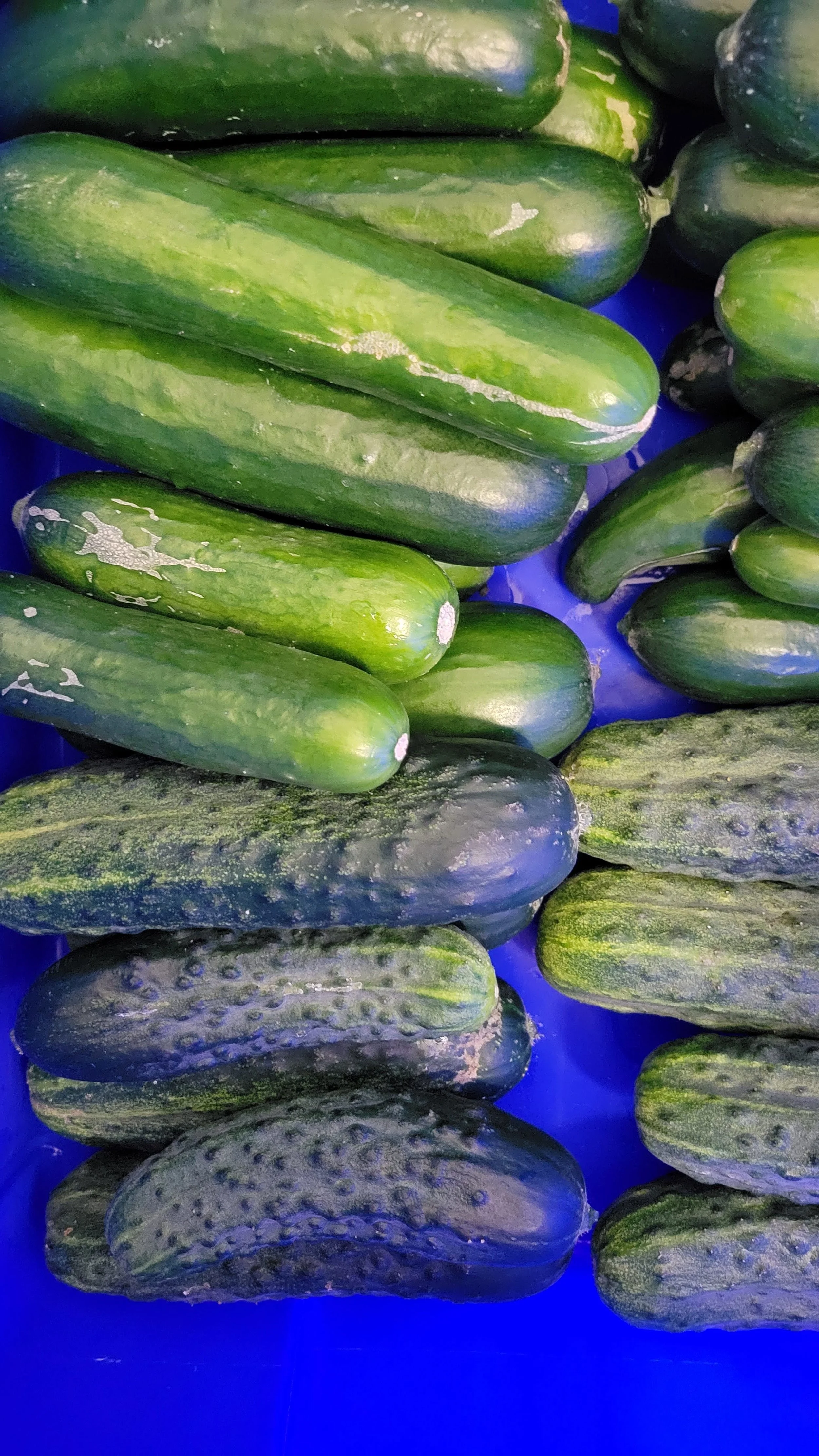 20230803_120621.jpg