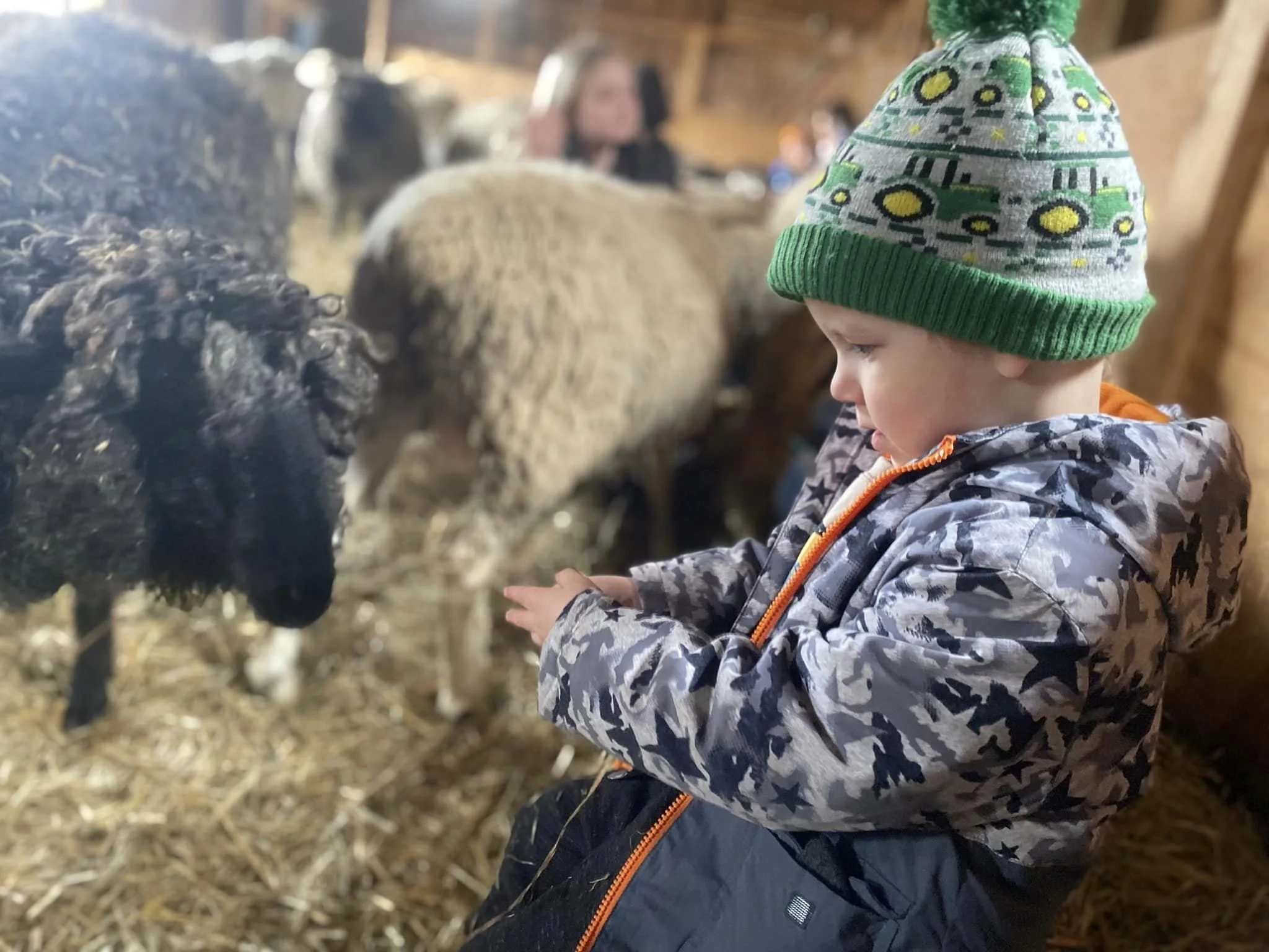 Child Reflecting on Experience