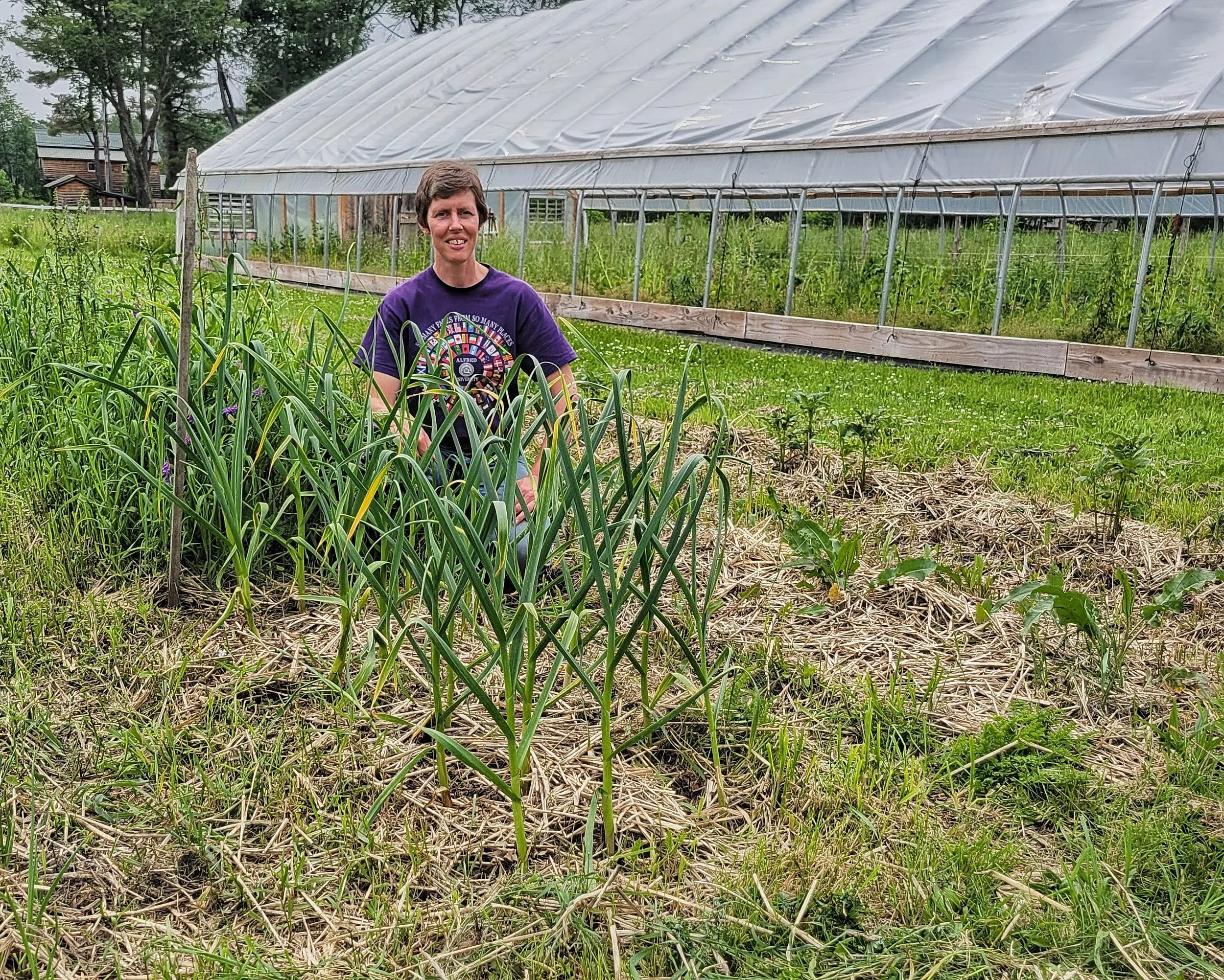 Laura-Garlic-Bed-2025.jpg