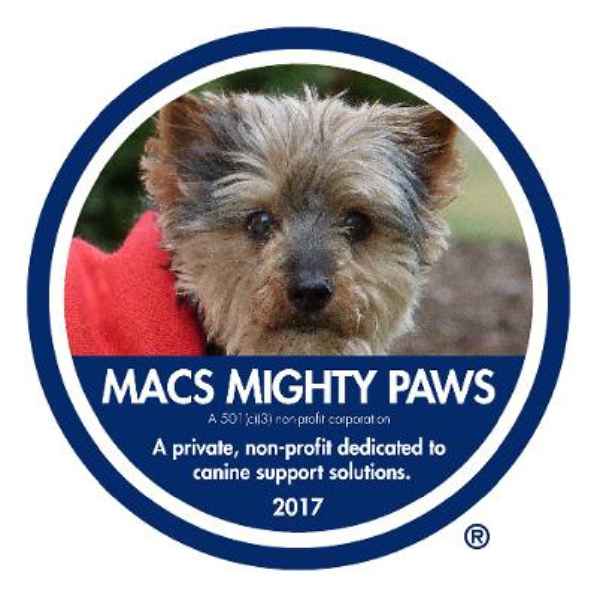 Macs Mighty Paws.png