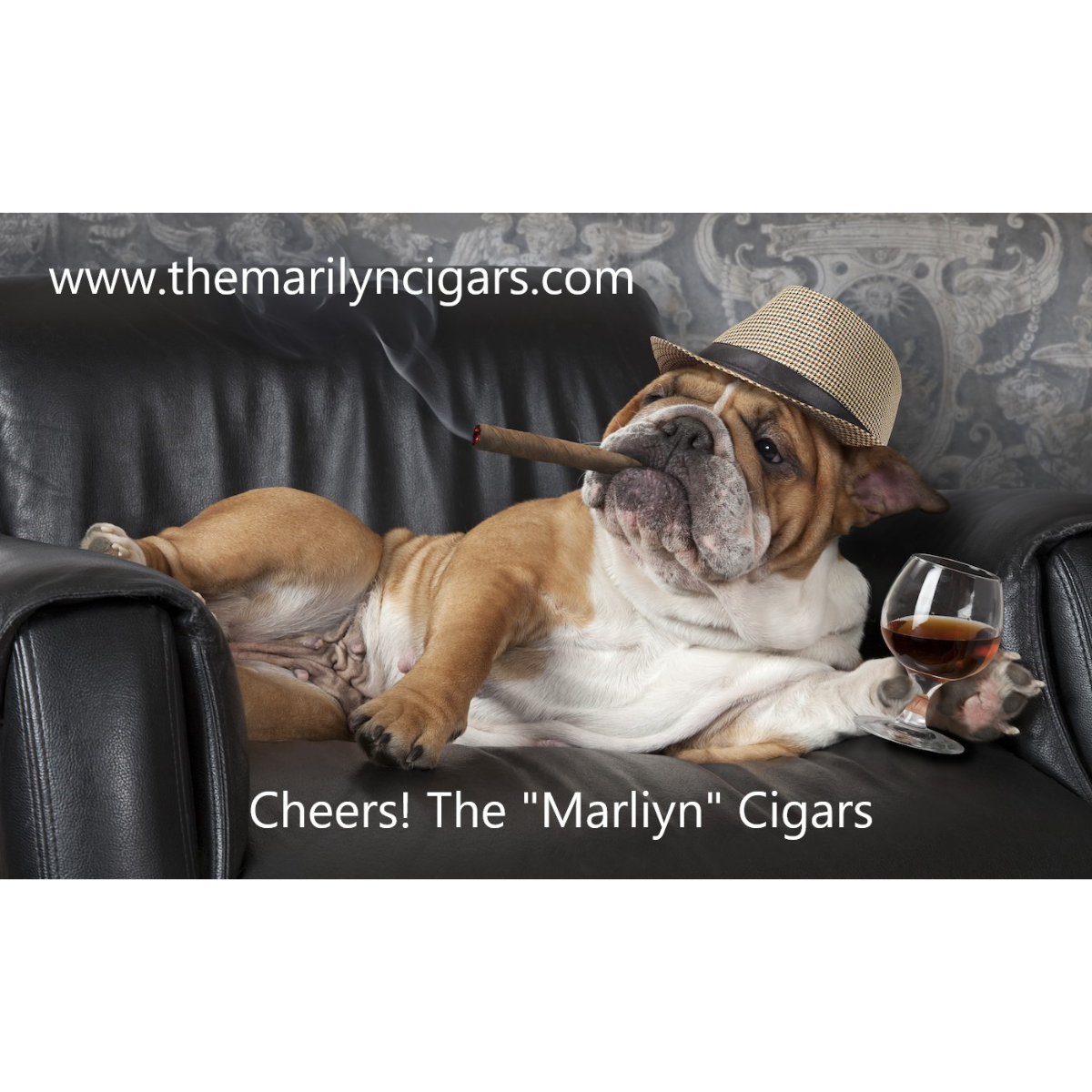 Marilyn Cigars.png
