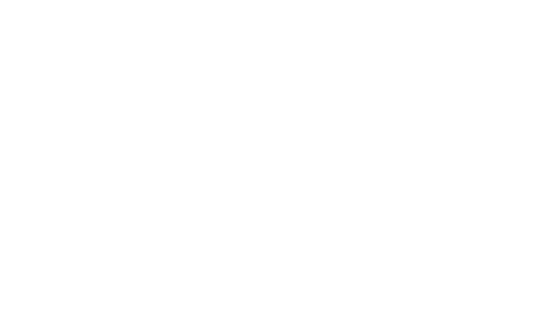 Funny Ant