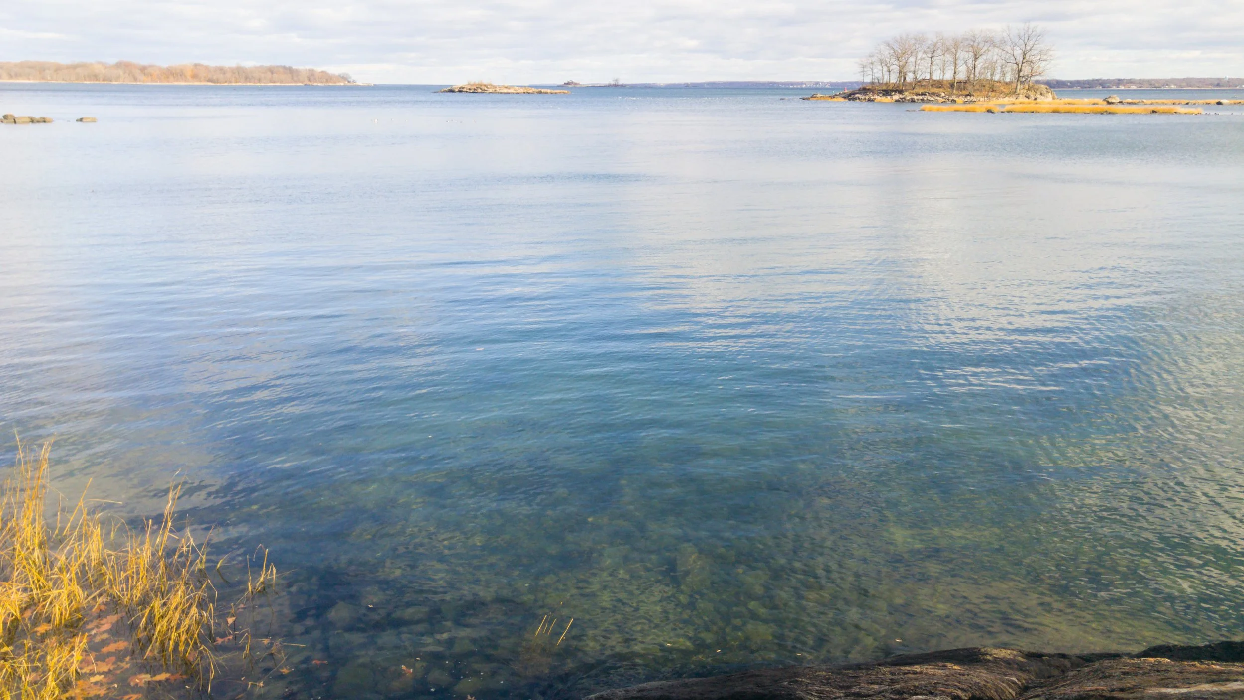 Events — Friends of Pelham Bay Park