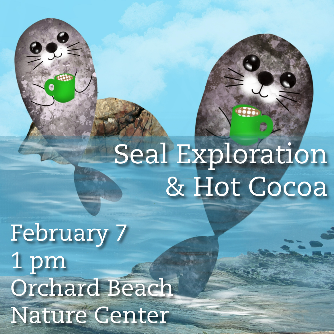 Friends x Urban Park Rangers: Seal Exploration 