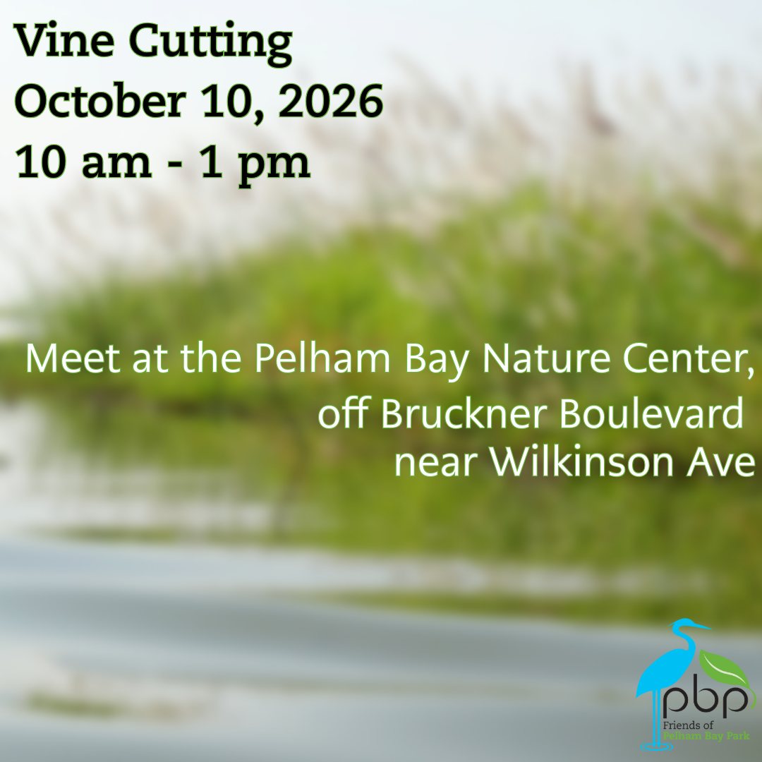 Volunteer: Vine Cutting