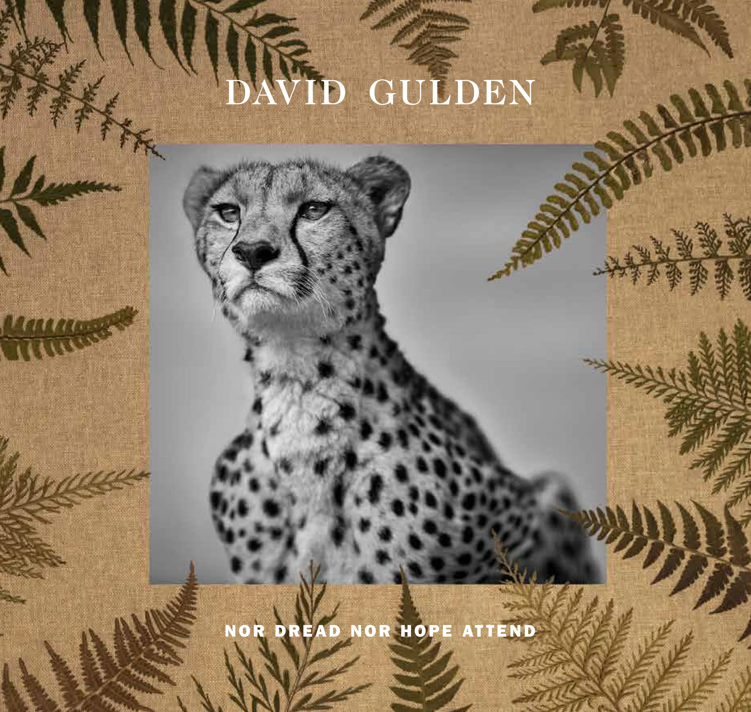 DGGcover.jpg