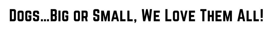 Dogs...big or small, we love them all