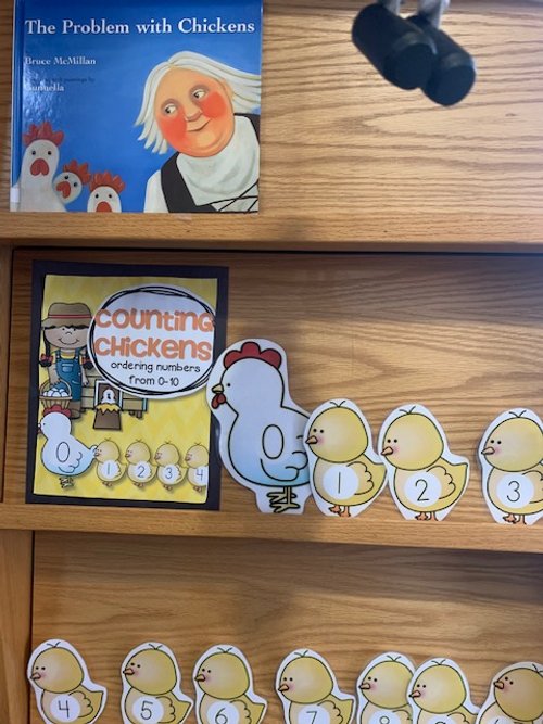 chicken and bunny books 2025.jpg