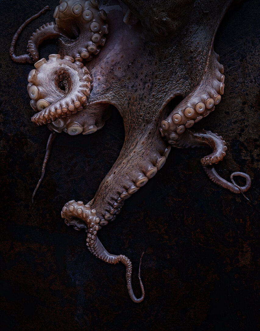 TENTACLES.jpg