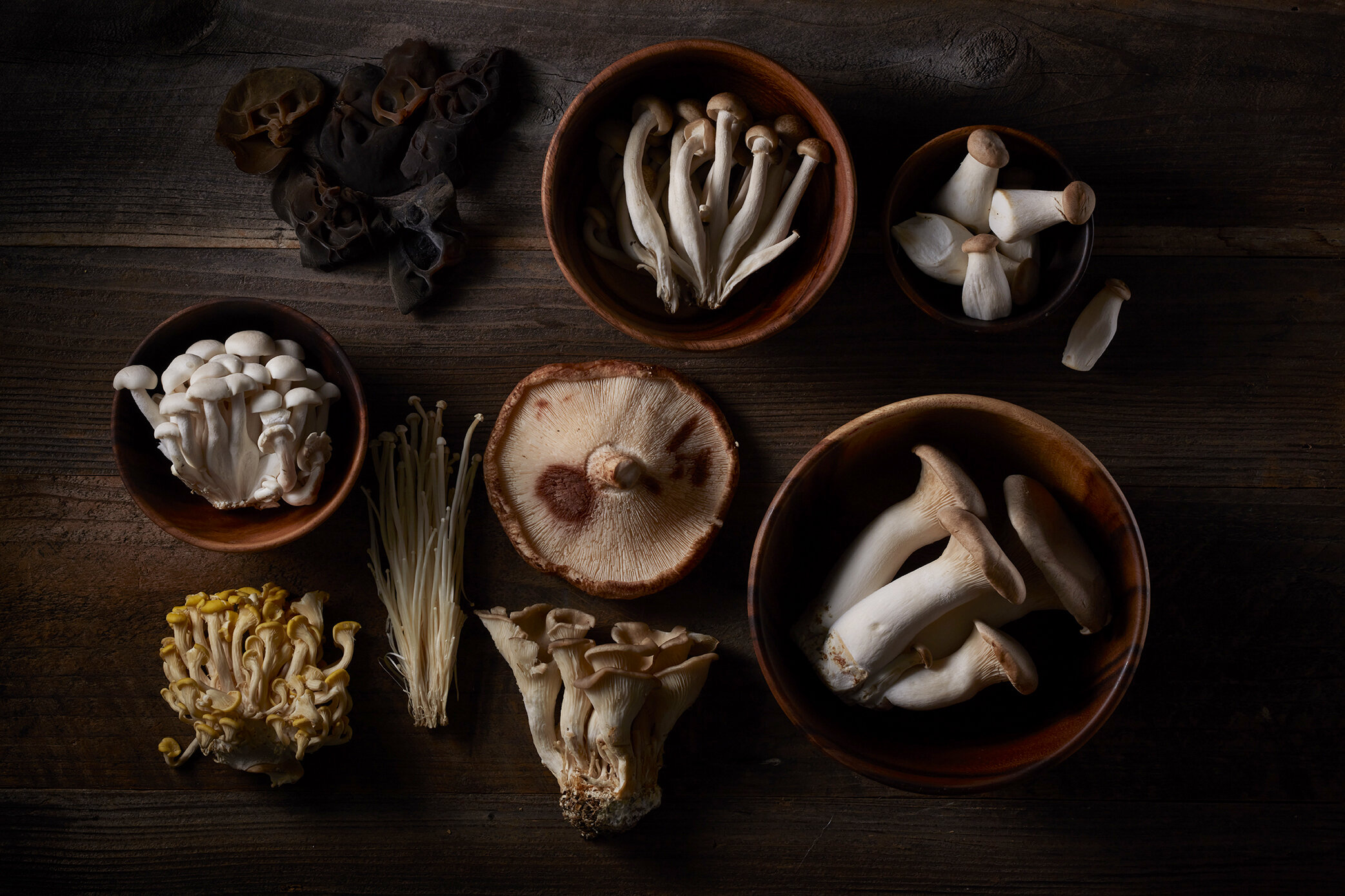 Mushroom variety