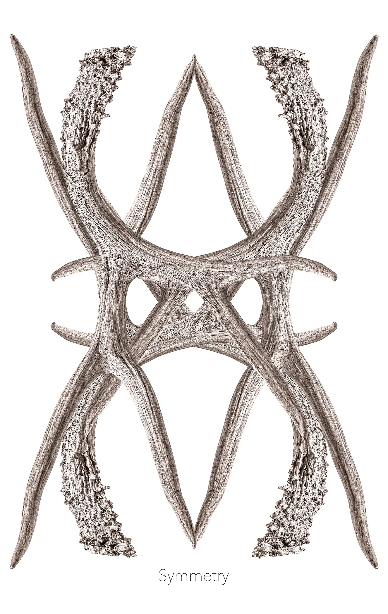SYMMETRY.jpg