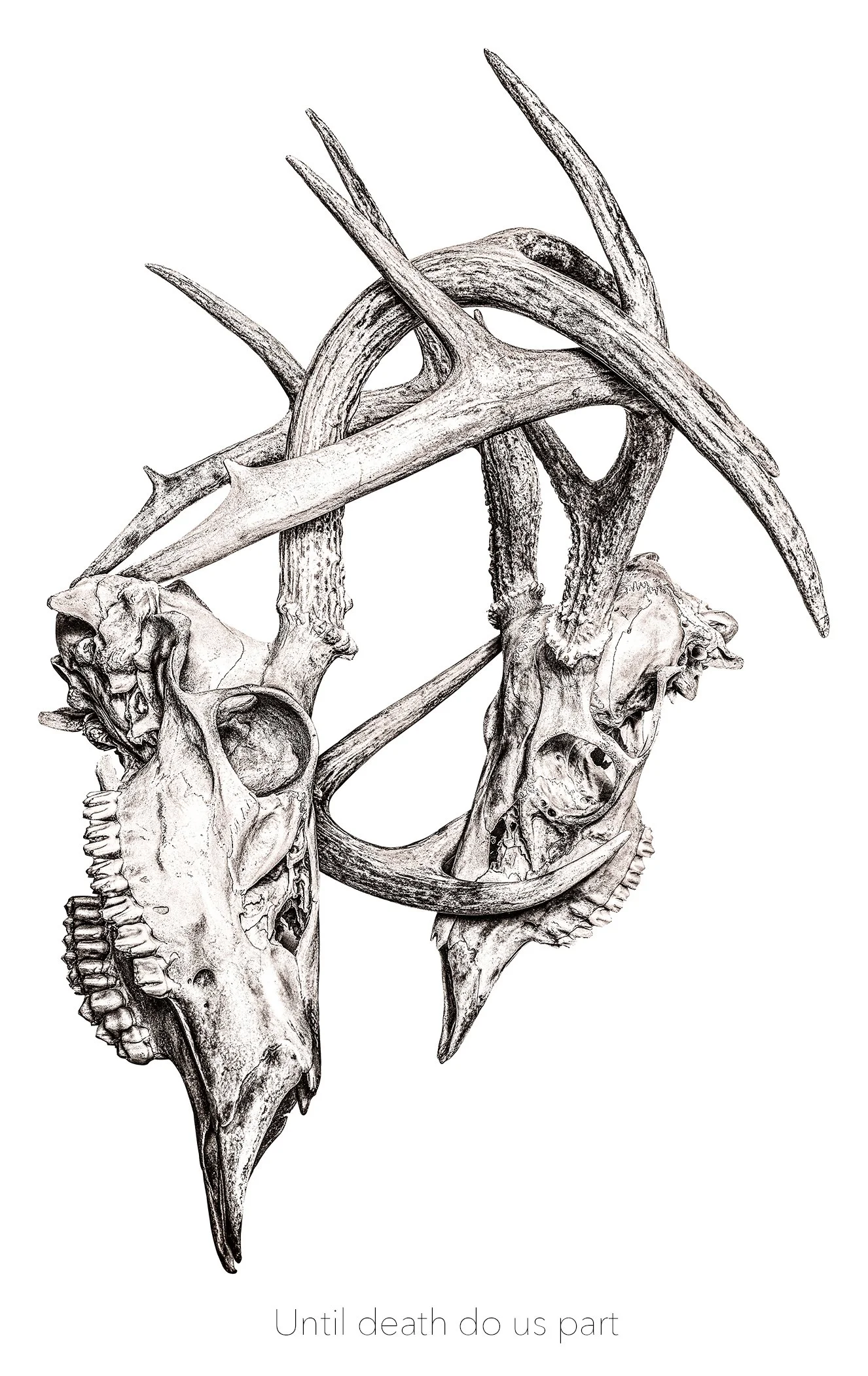 UNTIL DEATH DO US PART.jpg