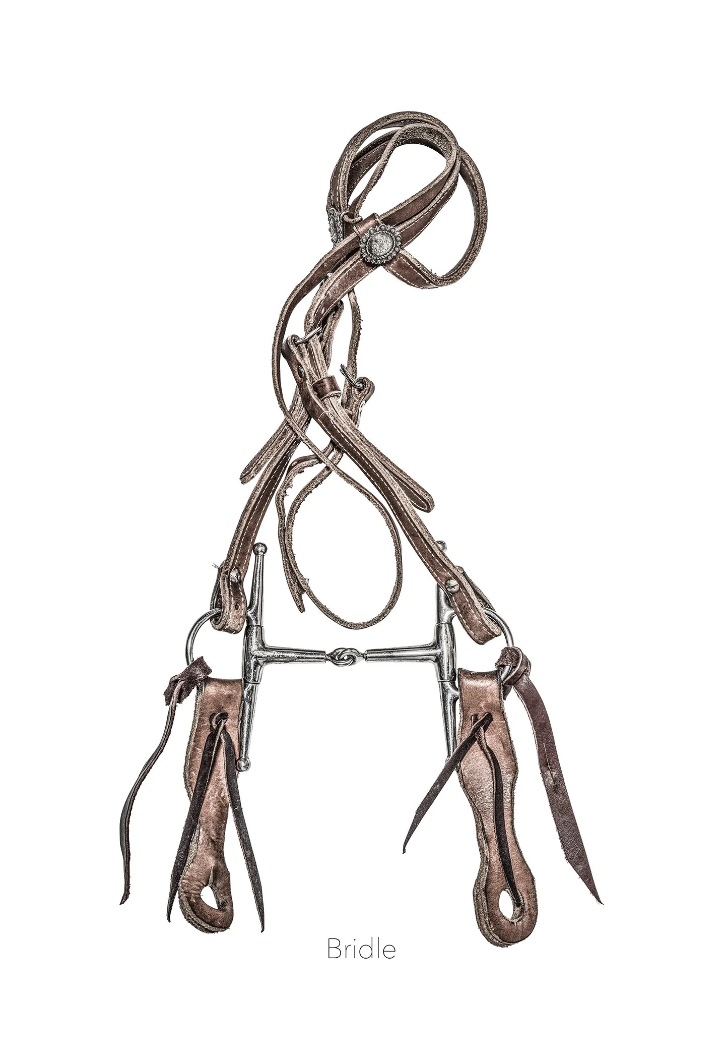 13x19 Bridle.jpg