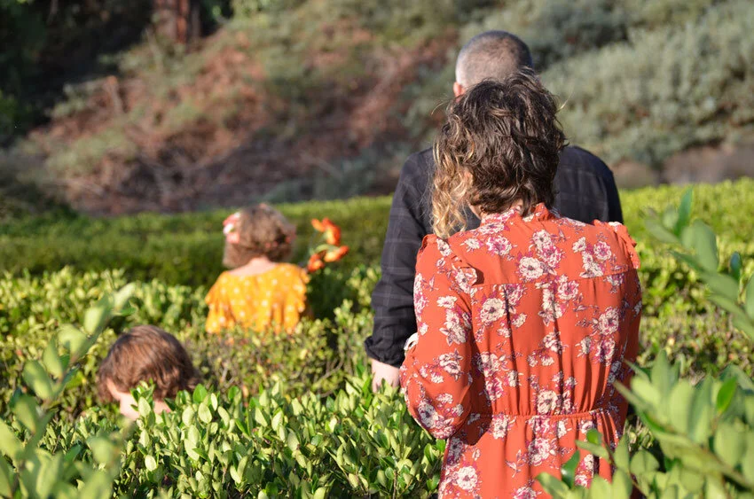 Photo Credit: Agavni Gasparyan