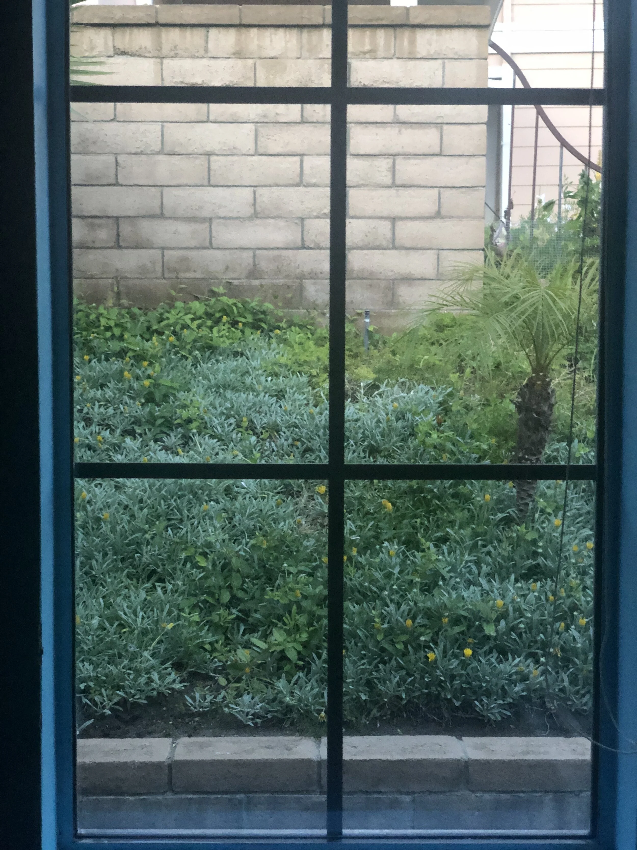 How Much Was That Tantrum in the Window?