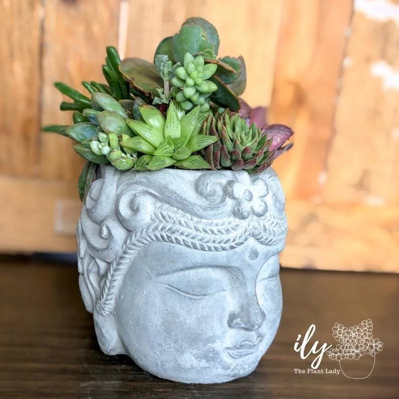 Thank you @ilytheplantlady for creating these beautiful arrangements! <3