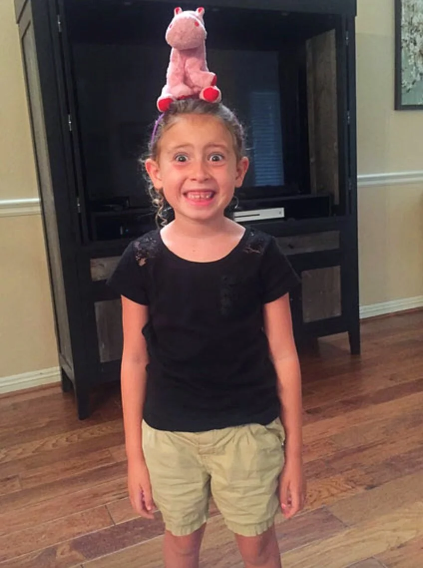 Neurologically Typical Zoo