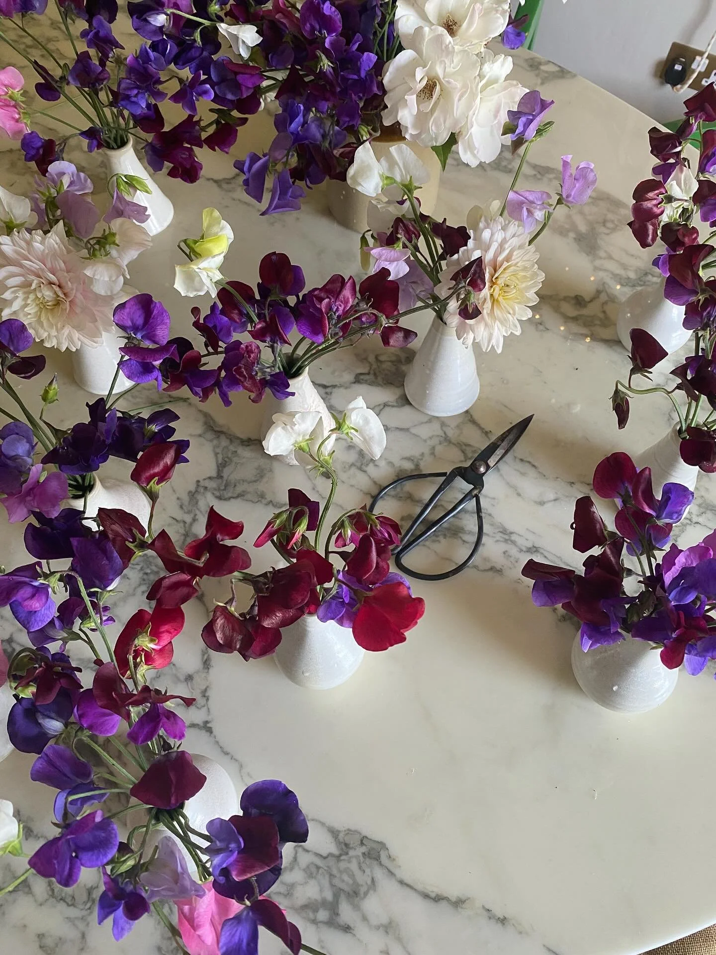 &hearts;️🫛🤍 🫛 💜