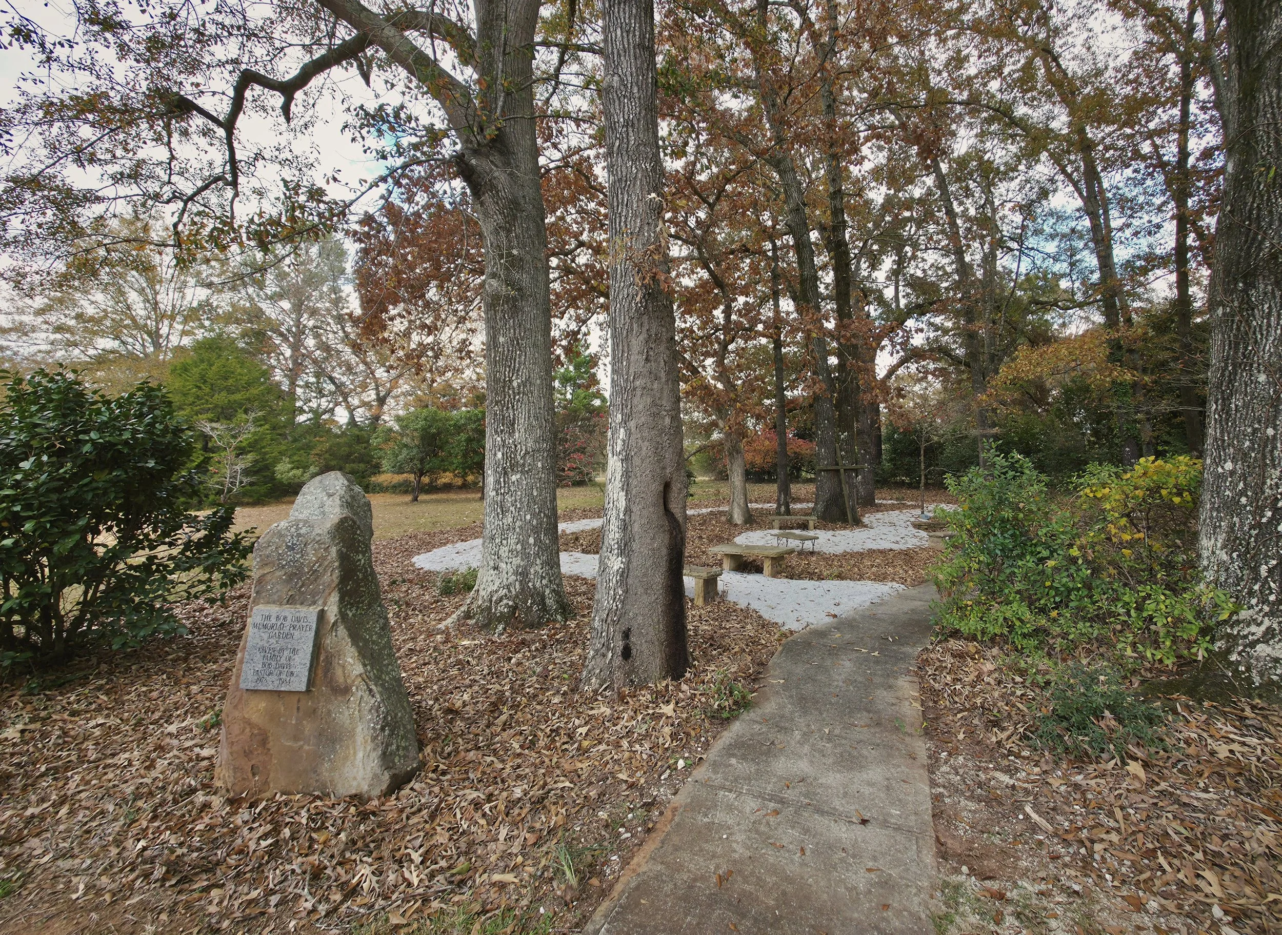 20251120_120352(1) (1).jpg