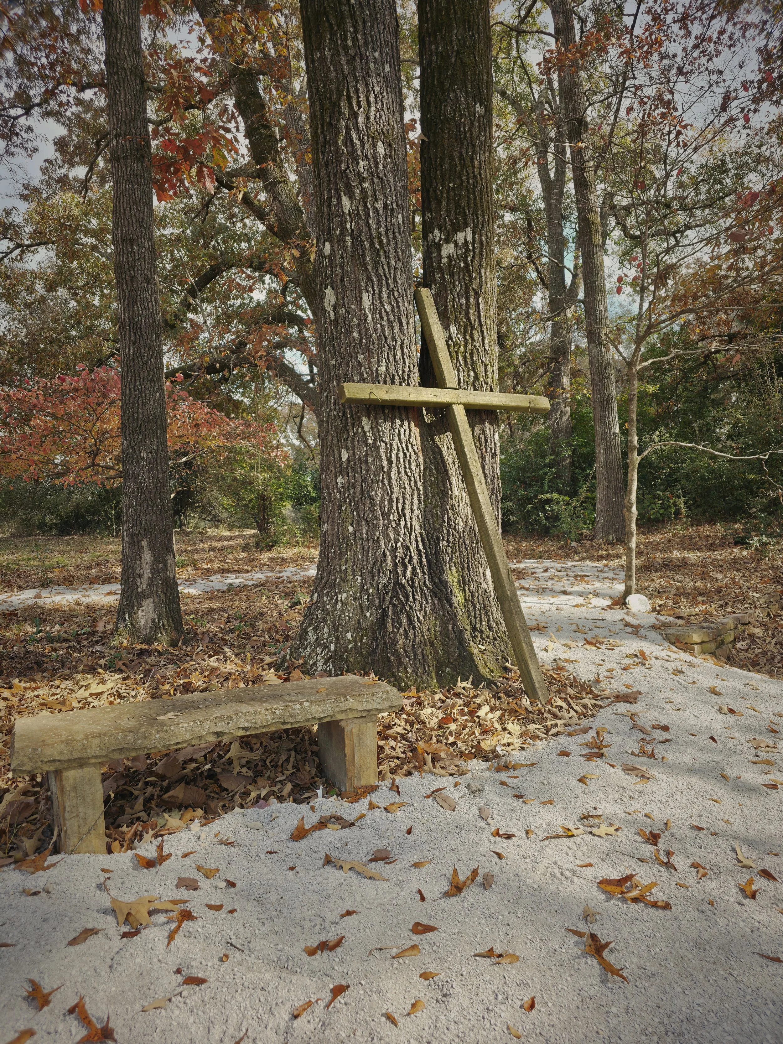 20251120_120528(1) (2).jpg