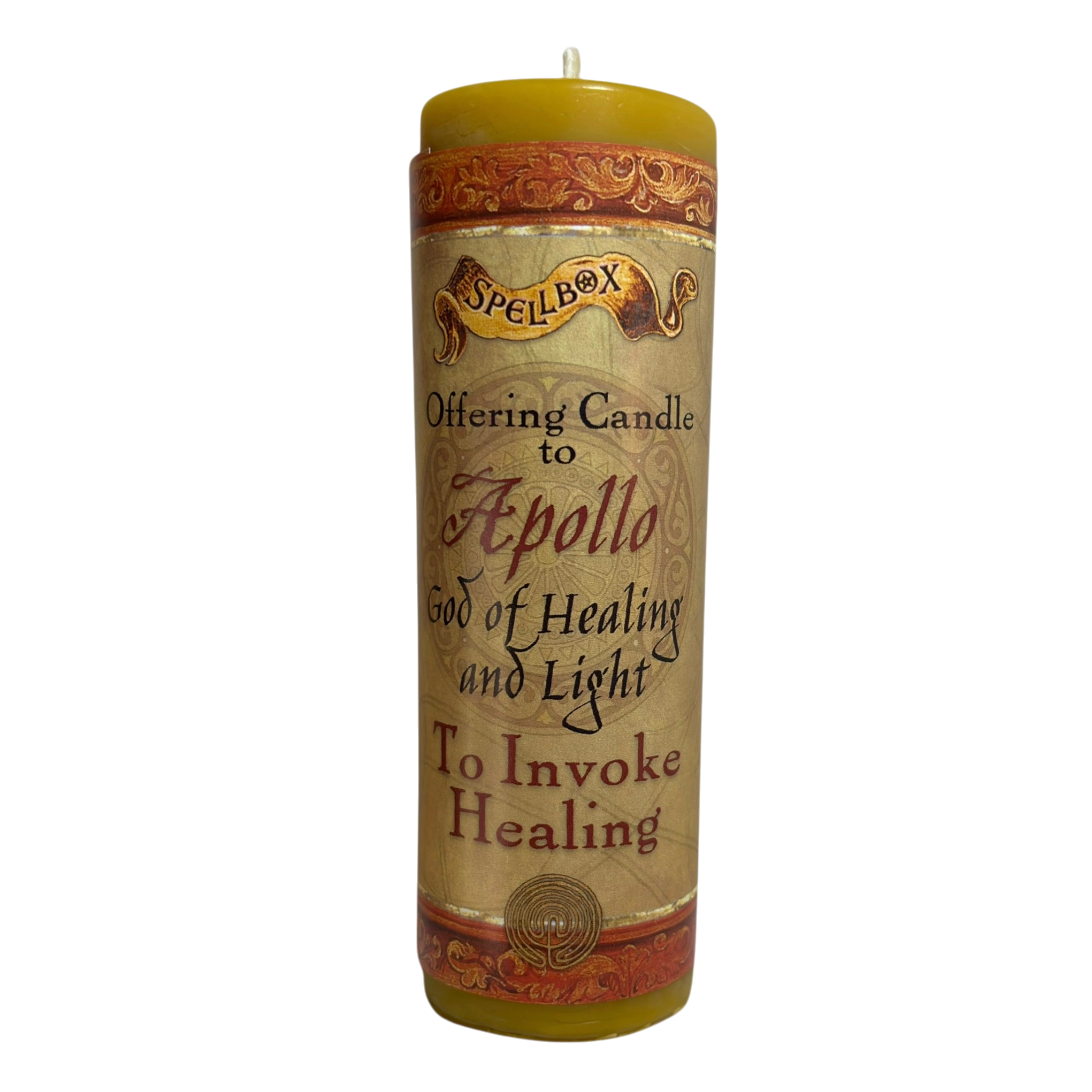 IMG_1235-Photoroom 2.png