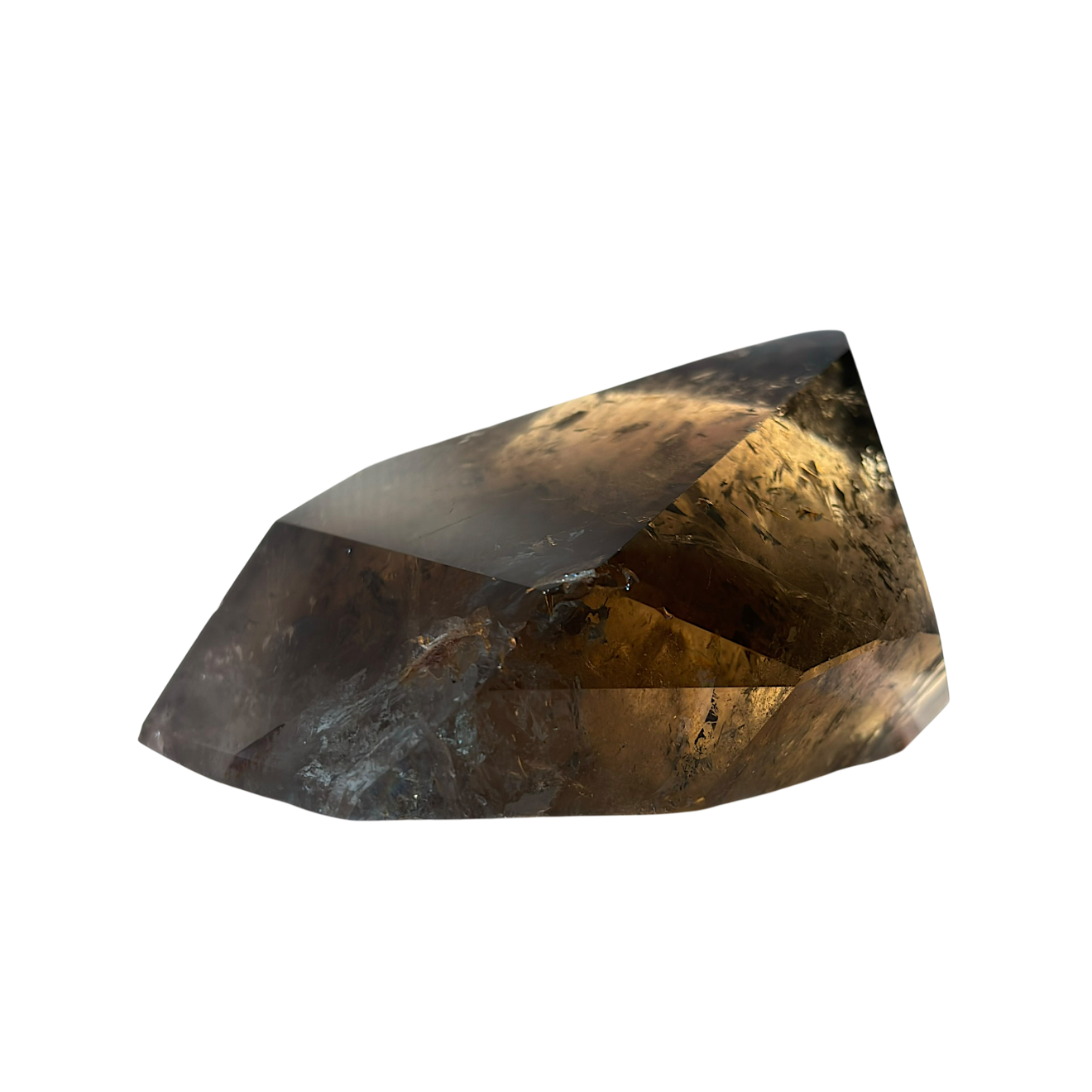 IMG_6307-Photoroom_resized.png