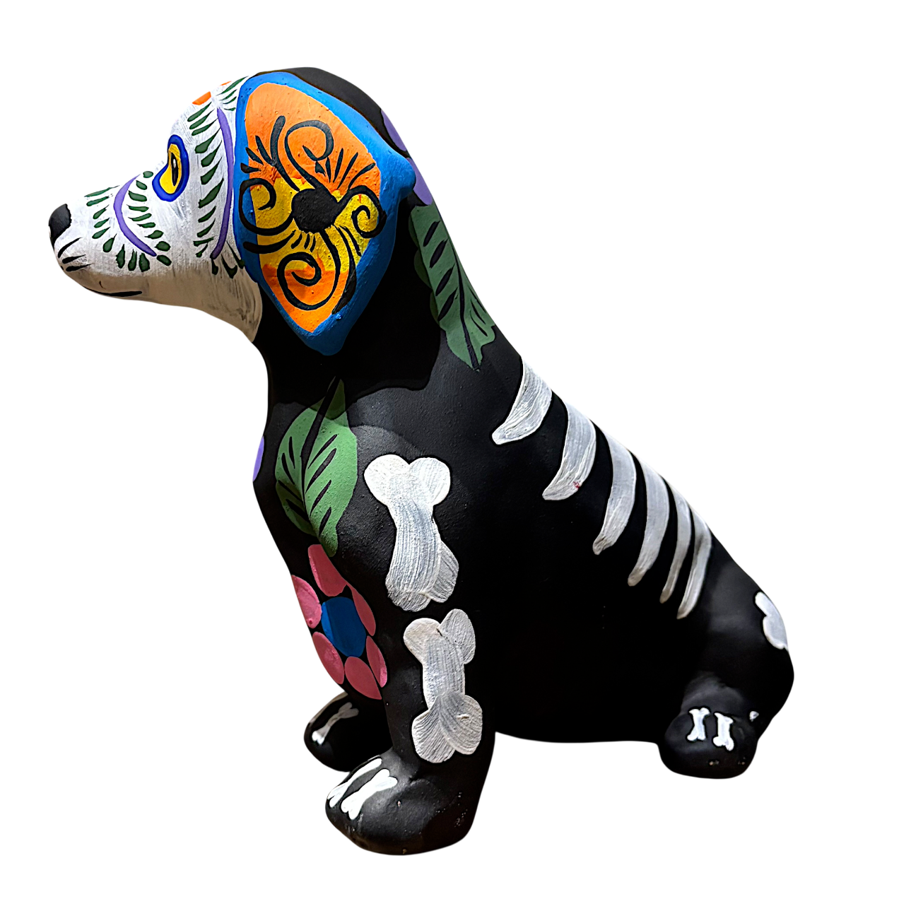 IMG_6591-Photoroom_resized.png