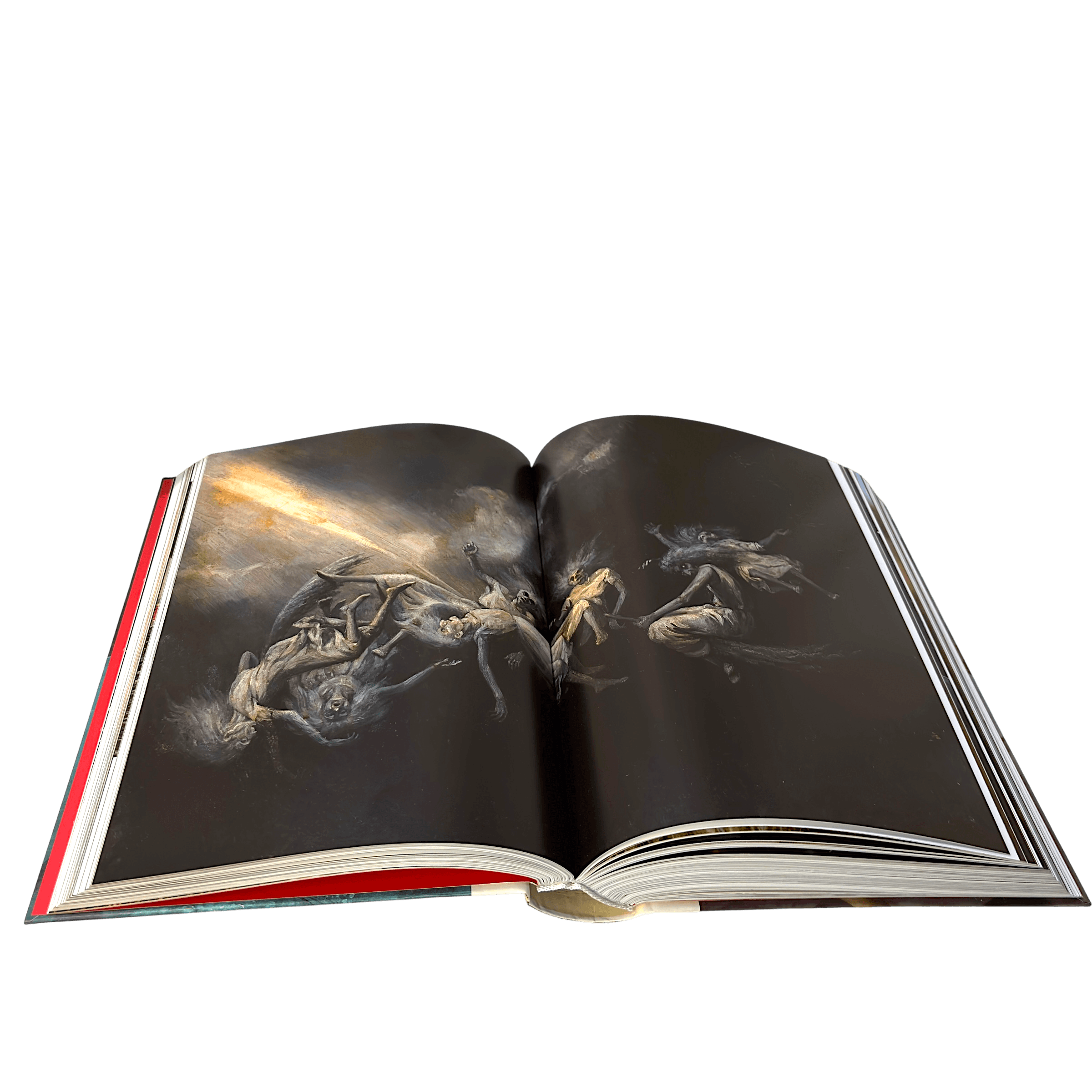 IMG_3904-Photoroom.png