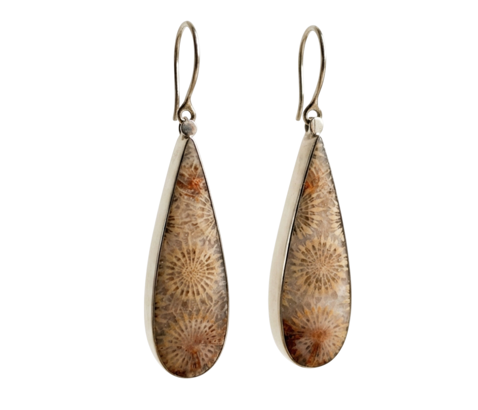 Fossil Coral Earrings
