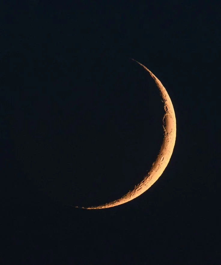 New Moon in Cancer : 14th July at 19:43 AEST