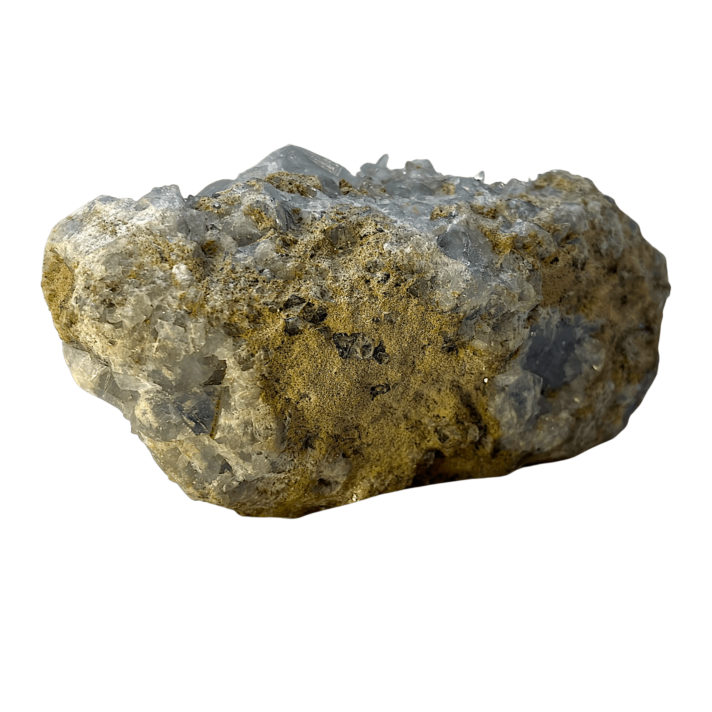 IMG_3530-Photoroom.png