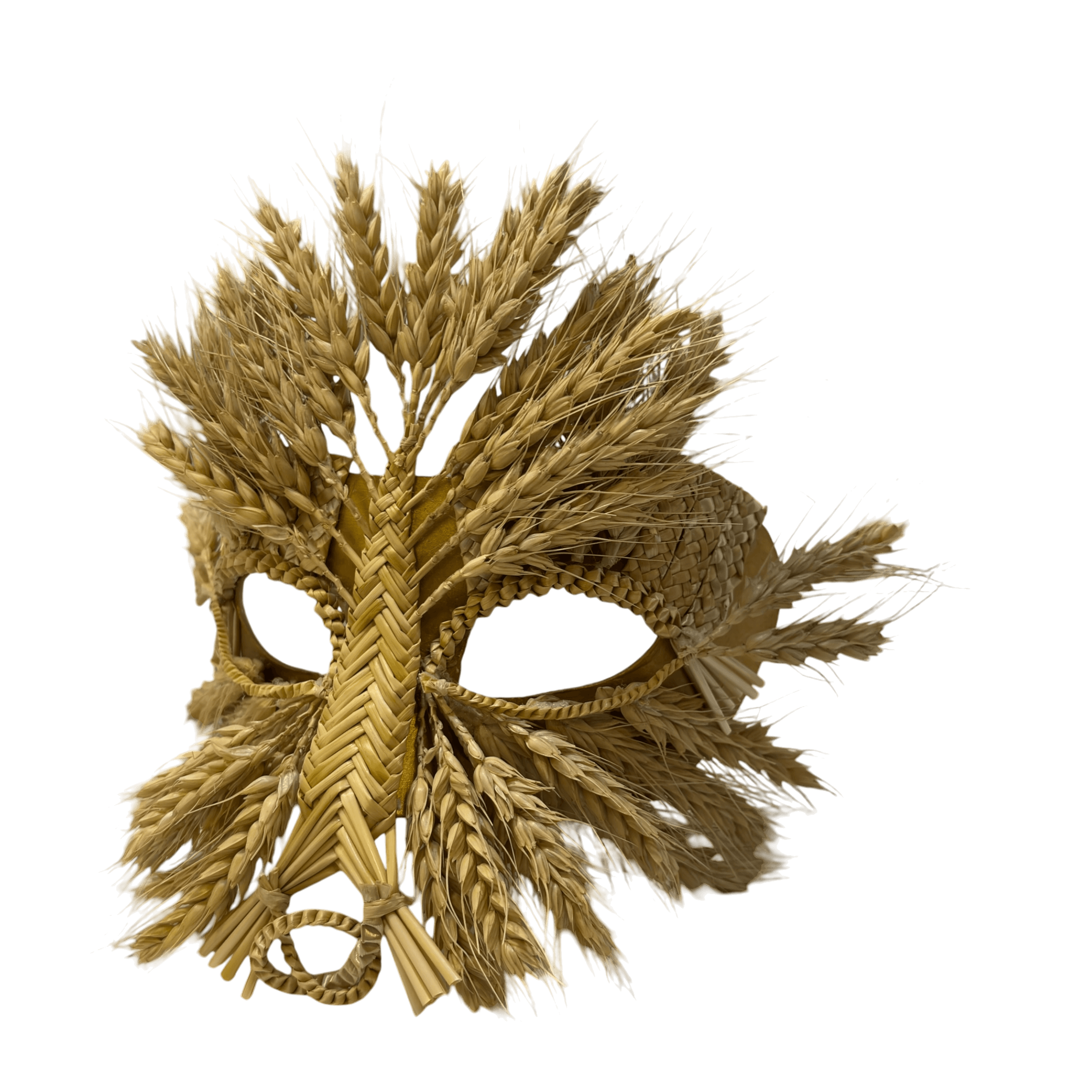 IMG_4318-Photoroom.png