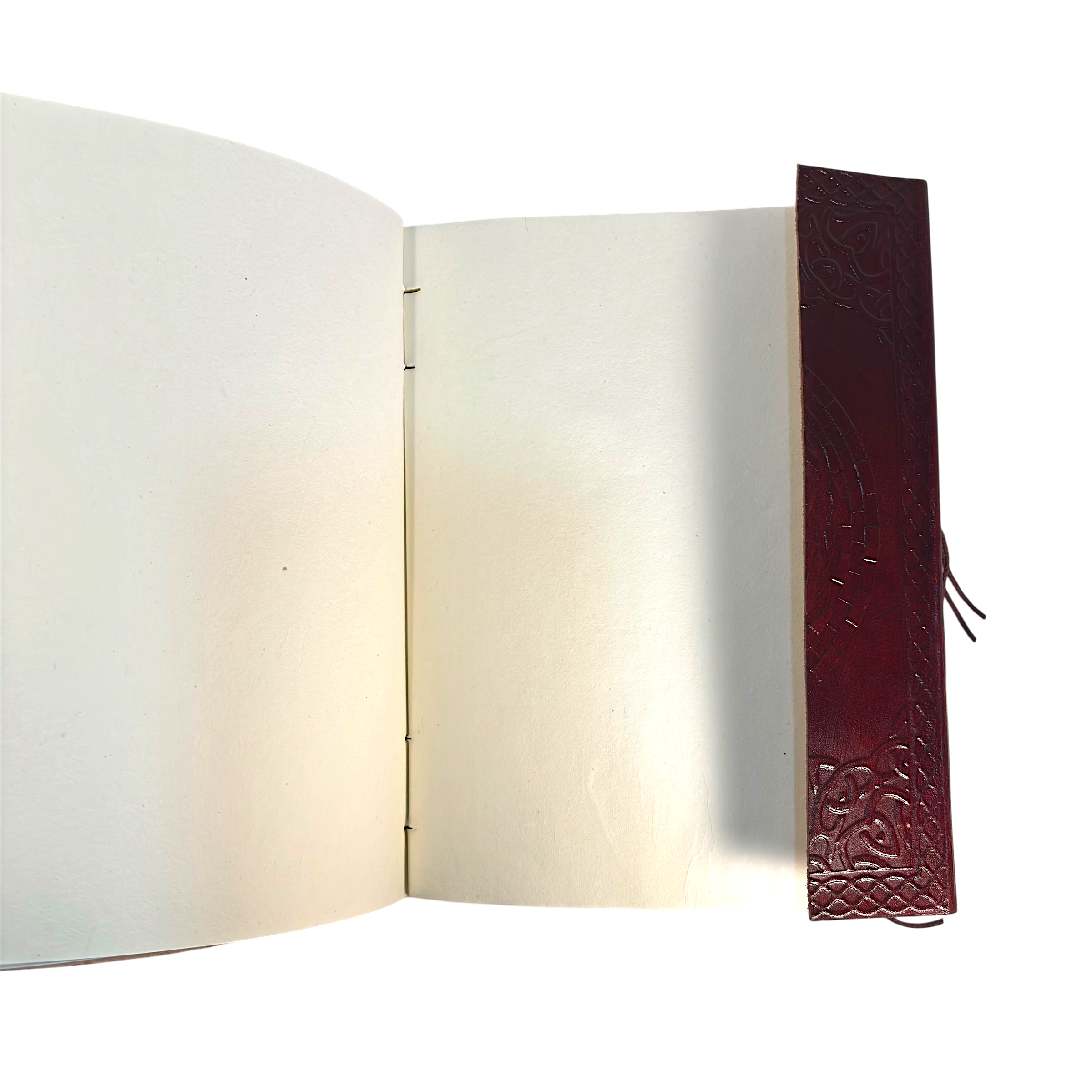 IMG_6207-Photoroom.png