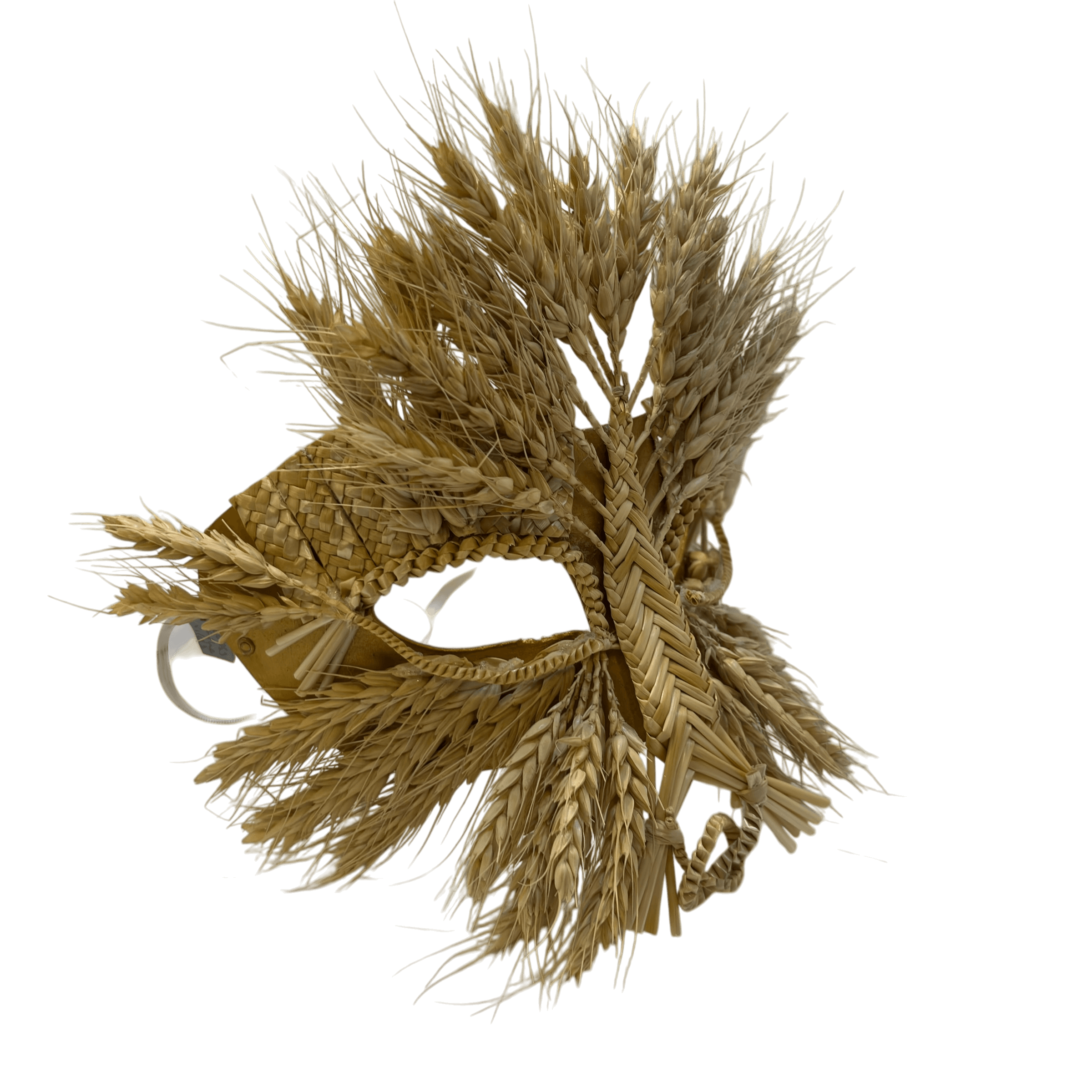 IMG_4319-Photoroom.png
