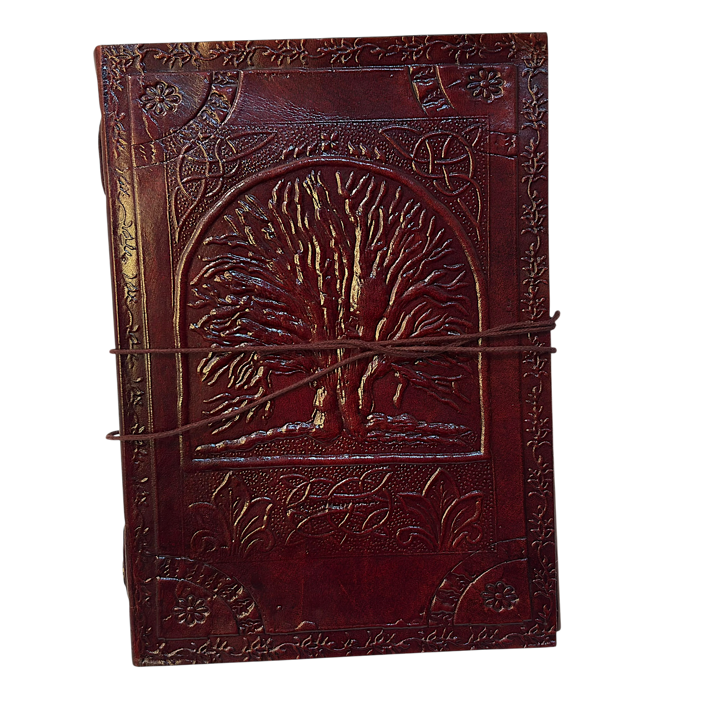 IMG_6210-Photoroom.png