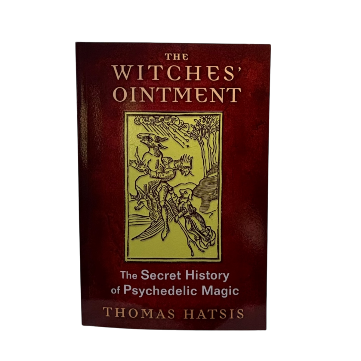 The Witch's Ointment
